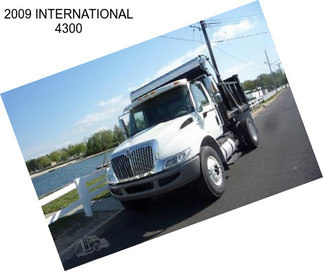 2009 INTERNATIONAL 4300