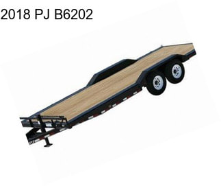 2018 PJ B6202