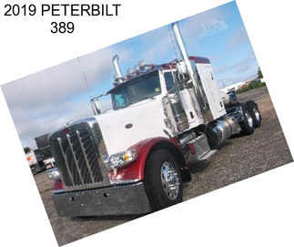 2019 PETERBILT 389