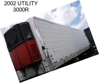 2002 UTILITY 3000R