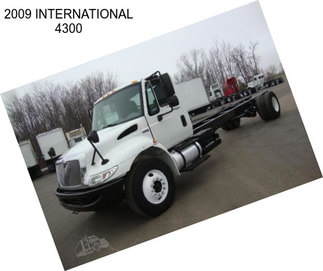 2009 INTERNATIONAL 4300