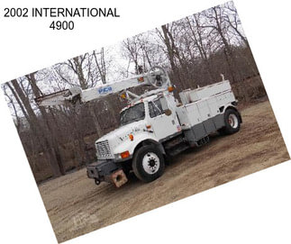 2002 INTERNATIONAL 4900