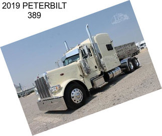 2019 PETERBILT 389