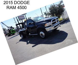 2015 DODGE RAM 4500