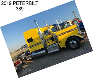 2019 PETERBILT 389