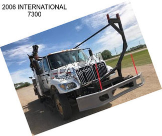 2006 INTERNATIONAL 7300