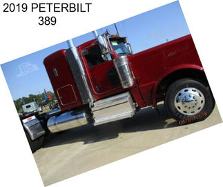 2019 PETERBILT 389