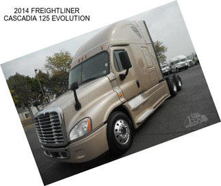 2014 FREIGHTLINER CASCADIA 125 EVOLUTION