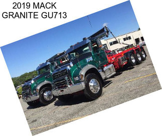 2019 MACK GRANITE GU713