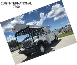 2009 INTERNATIONAL 7300