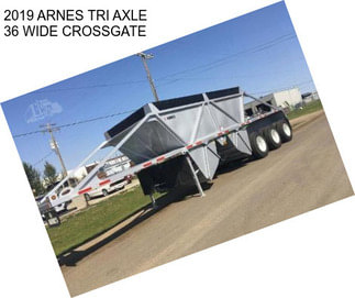 2019 ARNES TRI AXLE 36\