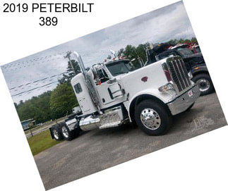 2019 PETERBILT 389