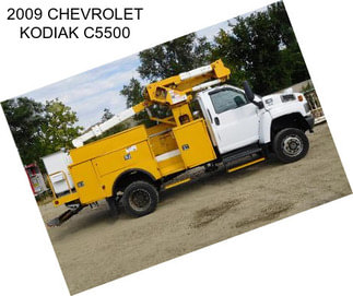 2009 CHEVROLET KODIAK C5500