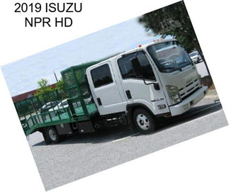 2019 ISUZU NPR HD