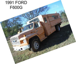 1991 FORD F600G