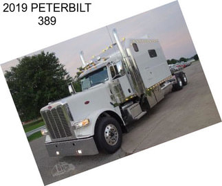 2019 PETERBILT 389