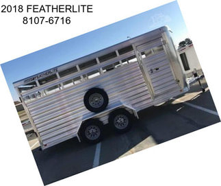 2018 FEATHERLITE 8107-6716