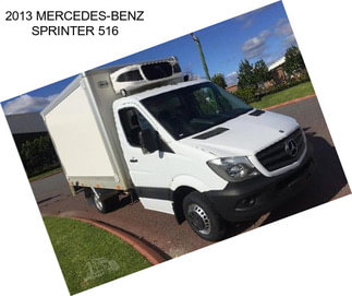 2013 MERCEDES-BENZ SPRINTER 516