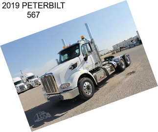 2019 PETERBILT 567