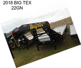 2018 BIG TEX 22GN