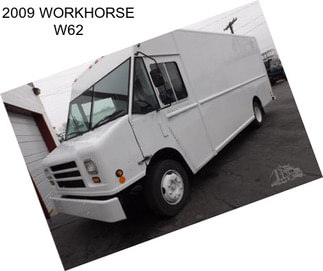 2009 WORKHORSE W62