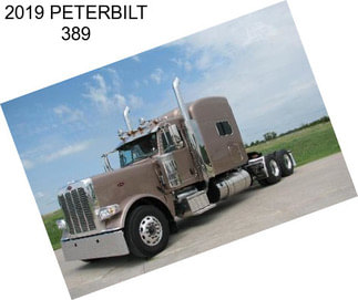 2019 PETERBILT 389