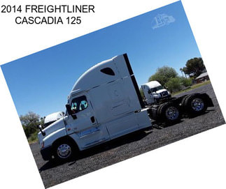 2014 FREIGHTLINER CASCADIA 125