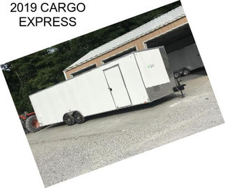 2019 CARGO EXPRESS