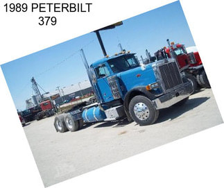 1989 PETERBILT 379