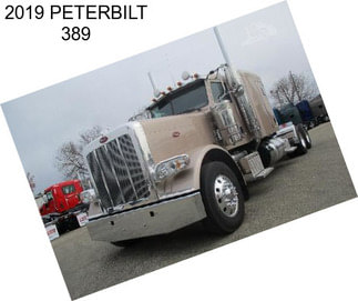 2019 PETERBILT 389