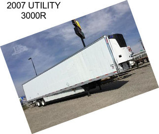 2007 UTILITY 3000R