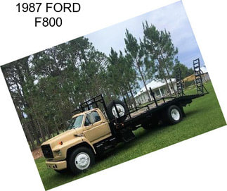 1987 FORD F800