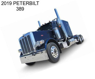 2019 PETERBILT 389