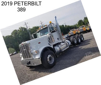 2019 PETERBILT 389