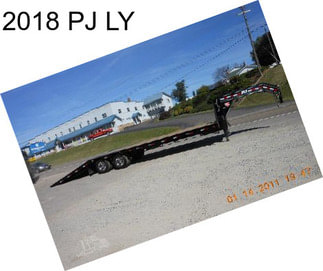 2018 PJ LY