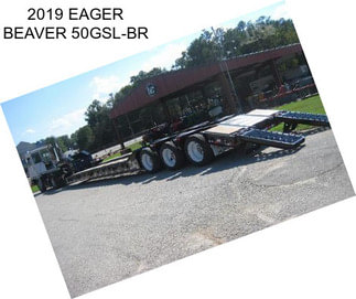 2019 EAGER BEAVER 50GSL-BR