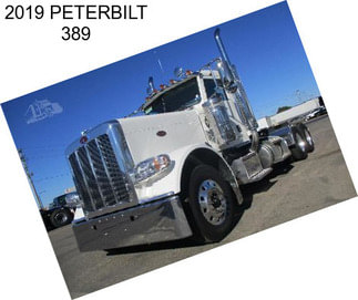 2019 PETERBILT 389