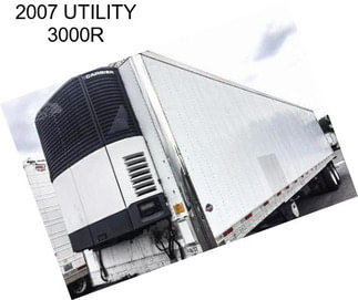 2007 UTILITY 3000R