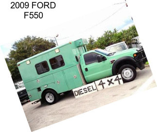 2009 FORD F550