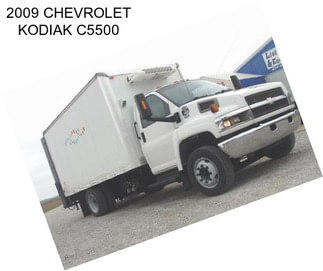 2009 CHEVROLET KODIAK C5500