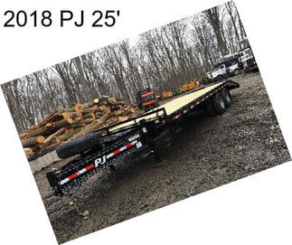 2018 PJ 25\'