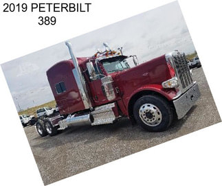 2019 PETERBILT 389