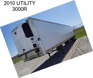 2010 UTILITY 3000R