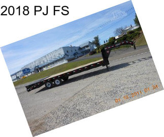 2018 PJ FS