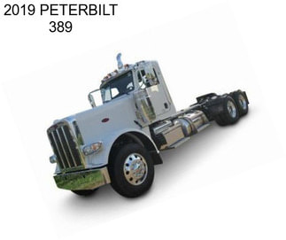 2019 PETERBILT 389