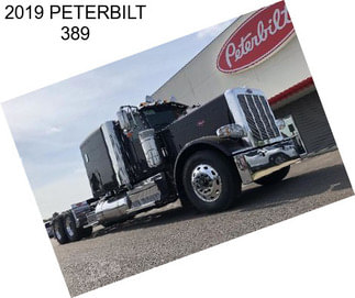 2019 PETERBILT 389