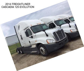 2014 FREIGHTLINER CASCADIA 125 EVOLUTION