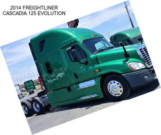 2014 FREIGHTLINER CASCADIA 125 EVOLUTION