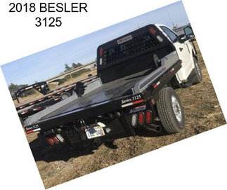 2018 BESLER 3125