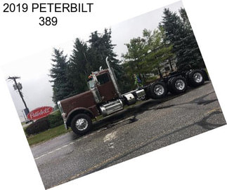 2019 PETERBILT 389